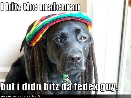 Jah man